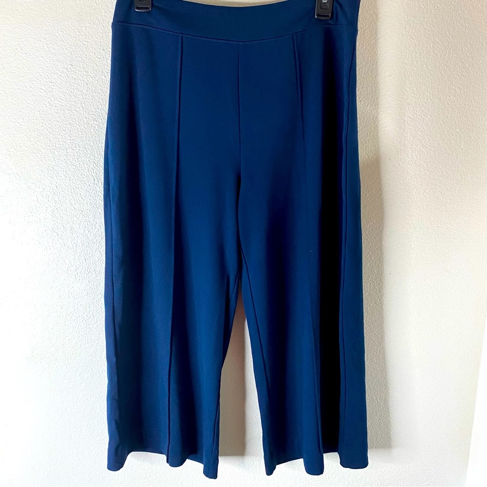 Seek No Further Womens Capri Wide Leg Trousers Size M Medium Blue Comfort